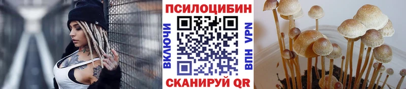 Псилоцибиновые грибы мицелий  купить наркоту  Лабытнанги 